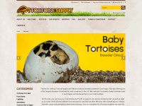 tortoisesupply.com Webseite Vorschau
