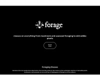 foragesf.com Webseite Vorschau