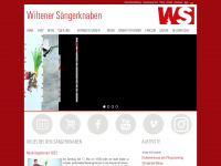 saengerknaben.com Webseite Vorschau