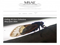 mwsae.org Webseite Vorschau