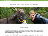 schottenhof.at Webseite Vorschau