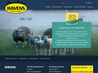 schapenvoeders.nl Webseite Vorschau