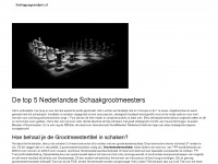 leidenchess.nl Webseite Vorschau