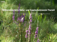 nvtherwil.ch Webseite Vorschau