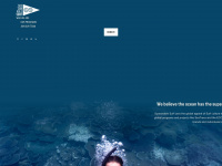 sustainablesurf.org Webseite Vorschau