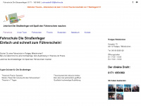 diestrassenfeger.info Webseite Vorschau