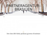 partneragentur-brasilien.com Webseite Vorschau