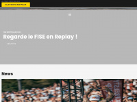 fise.fr Webseite Vorschau