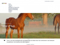 ive-horses.be Webseite Vorschau