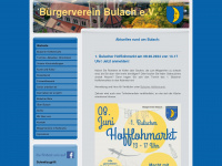 bv-bulach.org Webseite Vorschau