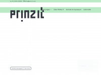 prinz-it.com Webseite Vorschau