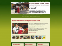 pferdeparadies-scheer.at Webseite Vorschau