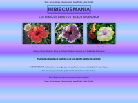 hibiscusmania.com