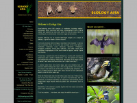 ecologyasia.com Webseite Vorschau