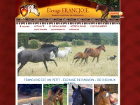 francjoie.fr Webseite Vorschau