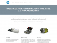 renumhydraulics.com Webseite Vorschau