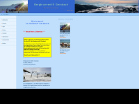 bergbrunnenlift-gersbach.de Webseite Vorschau