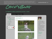 Chihuahuachico.blogspot.com