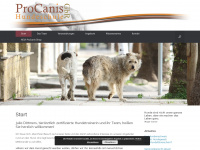 procanis.de Webseite Vorschau