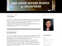 fabjerennt.nl Webseite Vorschau