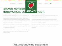 braun-apple.com Webseite Vorschau