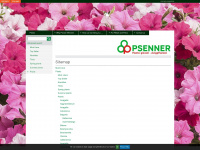 psenner.it Webseite Vorschau
