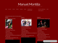 flamenco-gitarre-osnabrück.de Webseite Vorschau