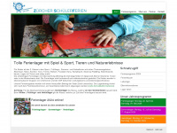 zsf.ch Webseite Vorschau