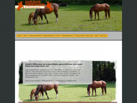 haselbach-westernpferde.ch Webseite Vorschau
