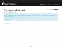 birdwatch.tv Webseite Vorschau