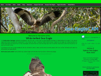 sea-eaglecam.org Webseite Vorschau