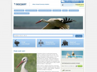 bociany.sk Webseite Vorschau