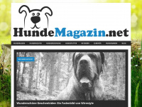 hundemagazin.net Webseite Vorschau