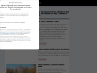 lashon.fr Webseite Vorschau