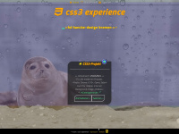 css3-experience.de Webseite Vorschau