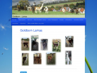 goldborn-lamas.de