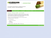 Kussmann-heizung.de