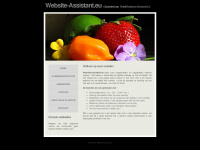 website-assistant.eu
