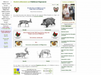 wildfleisch-regional.de Webseite Vorschau