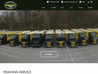 truckingservice.de Webseite Vorschau
