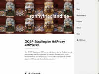 ronnyfriedland.de Webseite Vorschau