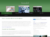 eumedjob.eu Webseite Vorschau