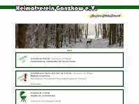 ganzkow.de Webseite Vorschau
