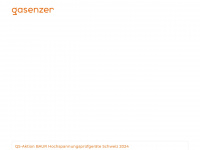 gasenzer.ch Webseite Vorschau