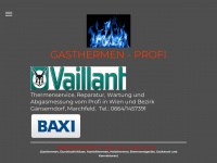gasthermen-profi.at