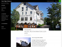 gastro-bigge-olsberg.de Thumbnail