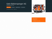 gebaltag.ch Webseite Vorschau