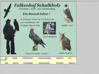 falkenhof-schalkholz.de Webseite Vorschau