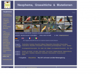 neophema.de Webseite Vorschau