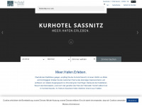 kurhotelsassnitz.de Webseite Vorschau
